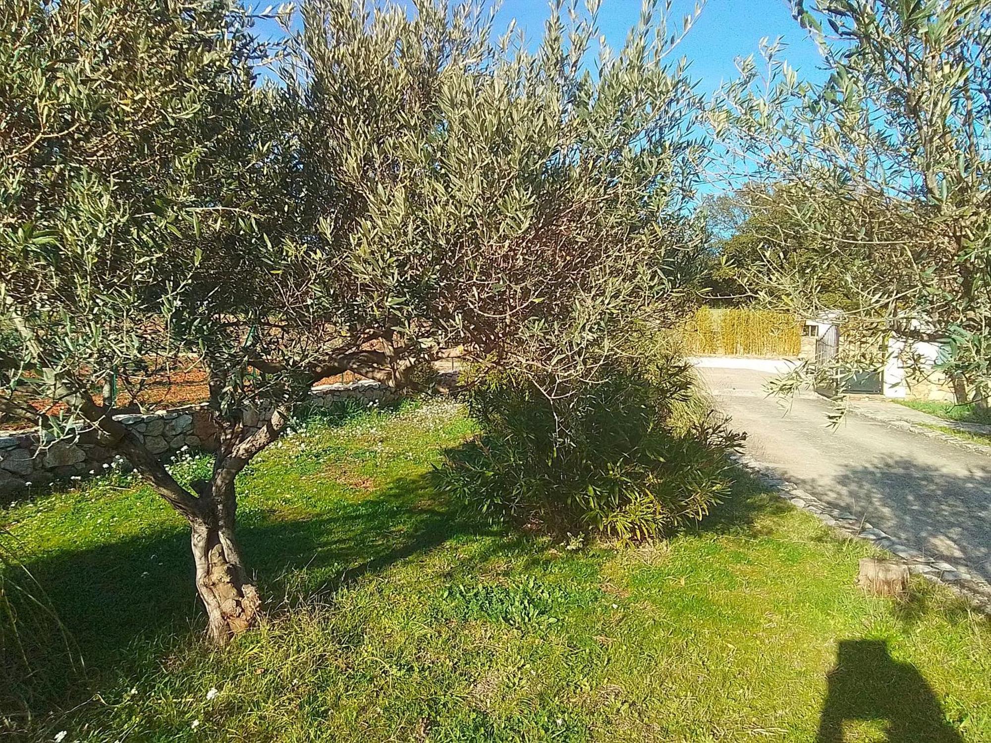 Cotignac Sejour Vacances Exterior foto